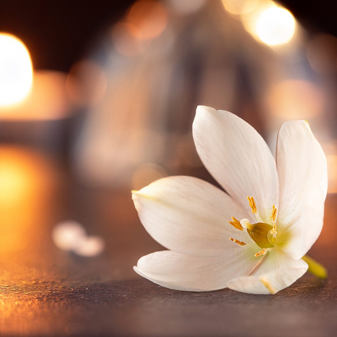 Shermaene Renee Baguio